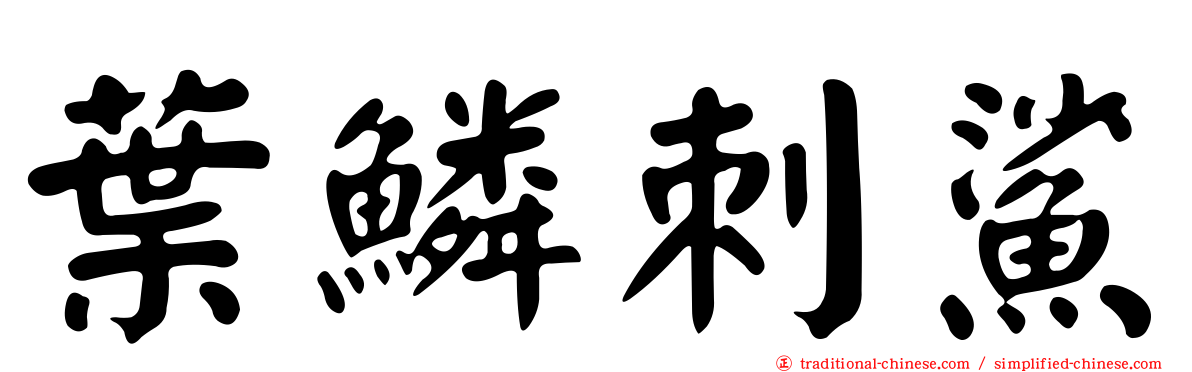 葉鱗刺鯊