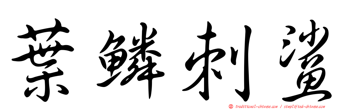 葉鱗刺鯊