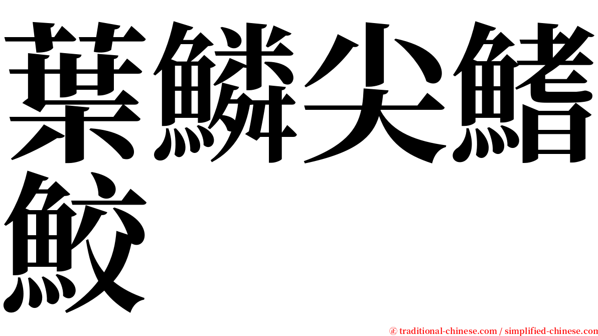 葉鱗尖鰭鮫 serif font