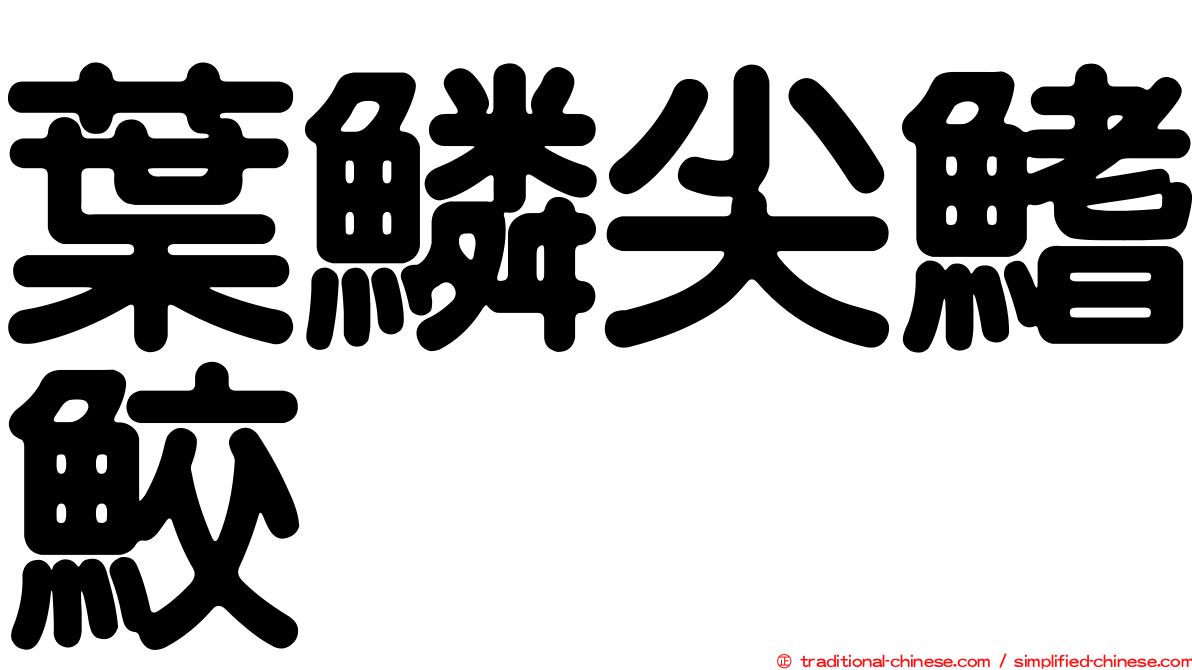 葉鱗尖鰭鮫
