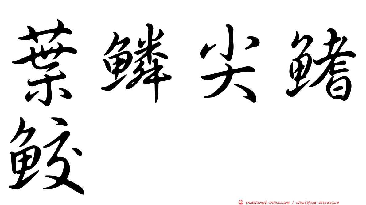葉鱗尖鰭鮫