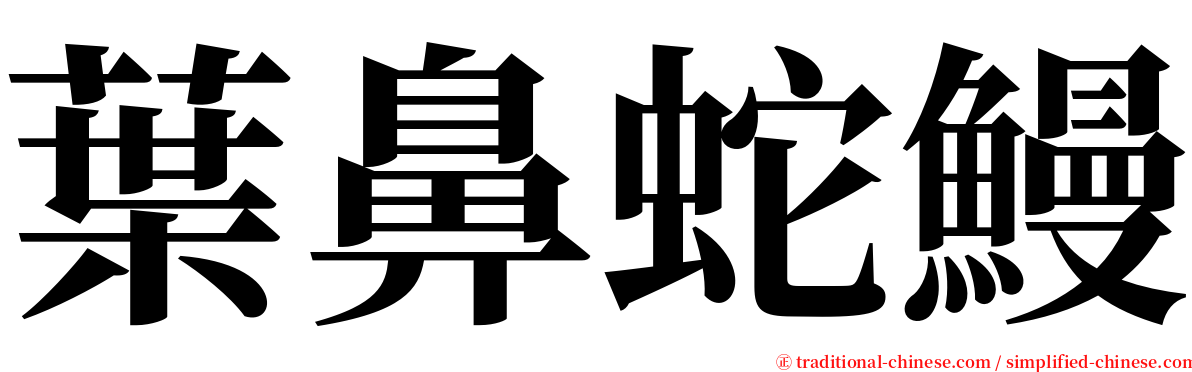 葉鼻蛇鰻 serif font