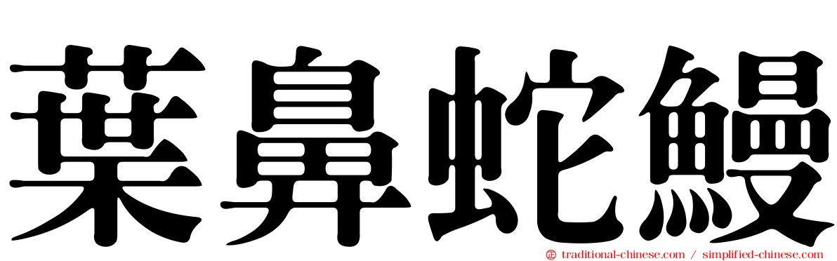 葉鼻蛇鰻