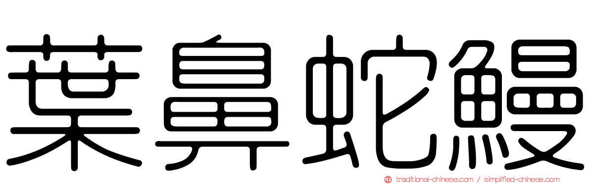 葉鼻蛇鰻