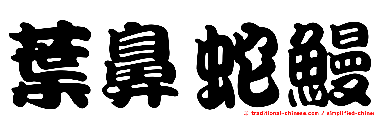 葉鼻蛇鰻