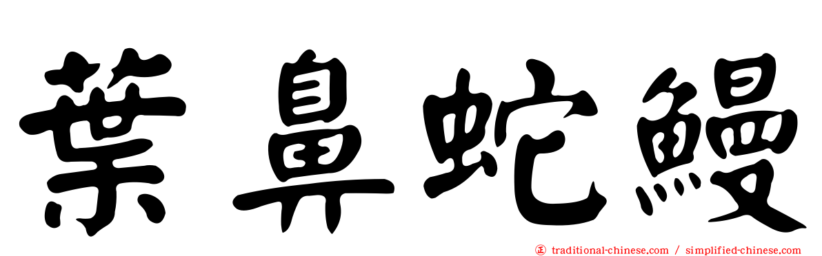 葉鼻蛇鰻