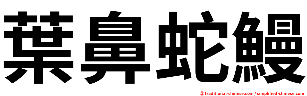 葉鼻蛇鰻