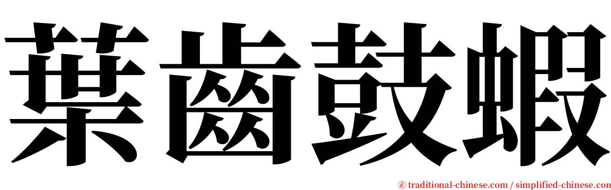 葉齒鼓蝦 serif font