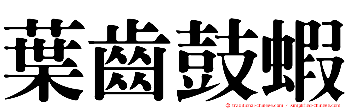 葉齒鼓蝦
