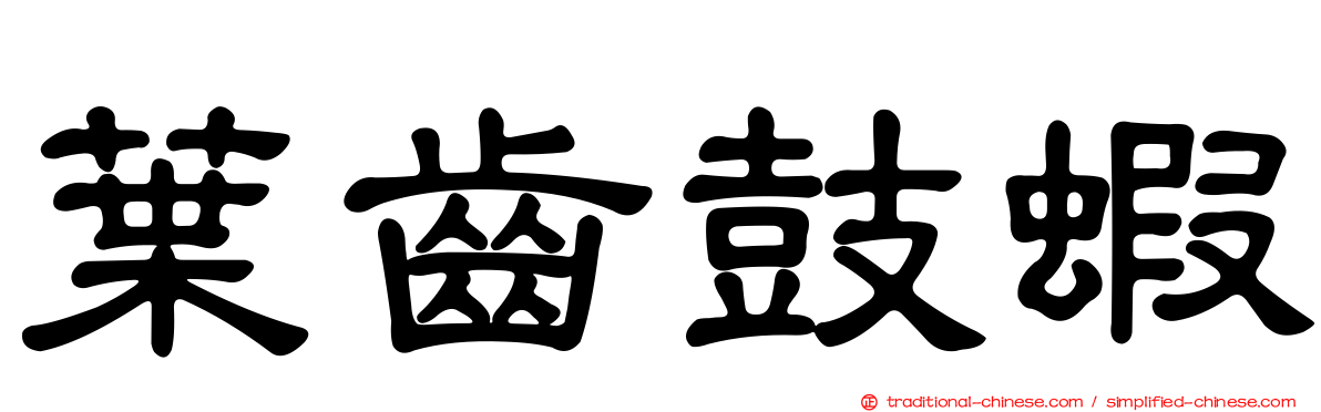 葉齒鼓蝦