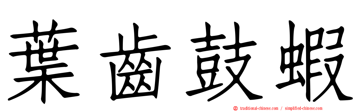 葉齒鼓蝦