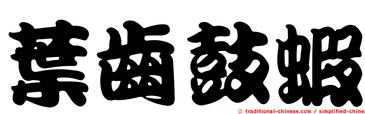葉齒鼓蝦