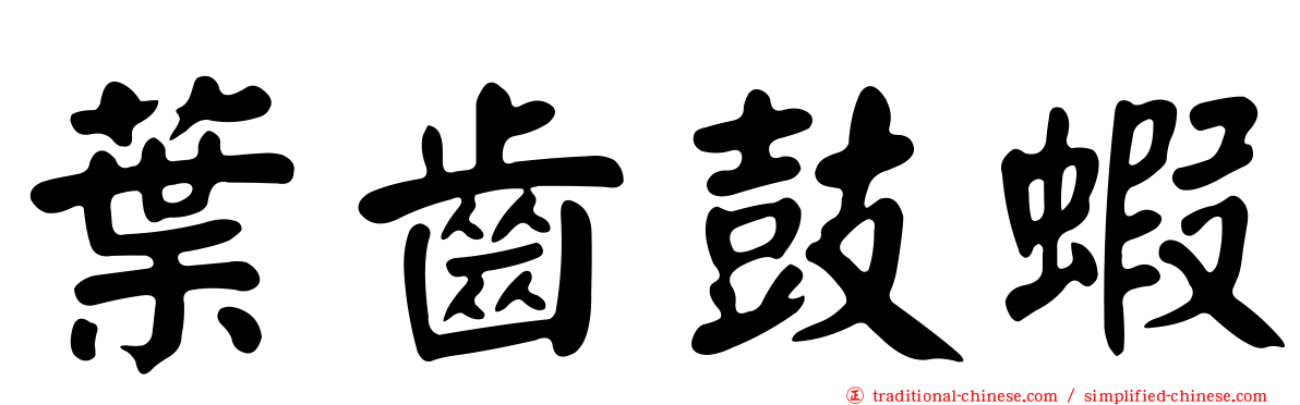葉齒鼓蝦