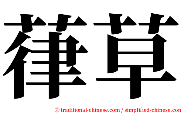 葎草 serif font