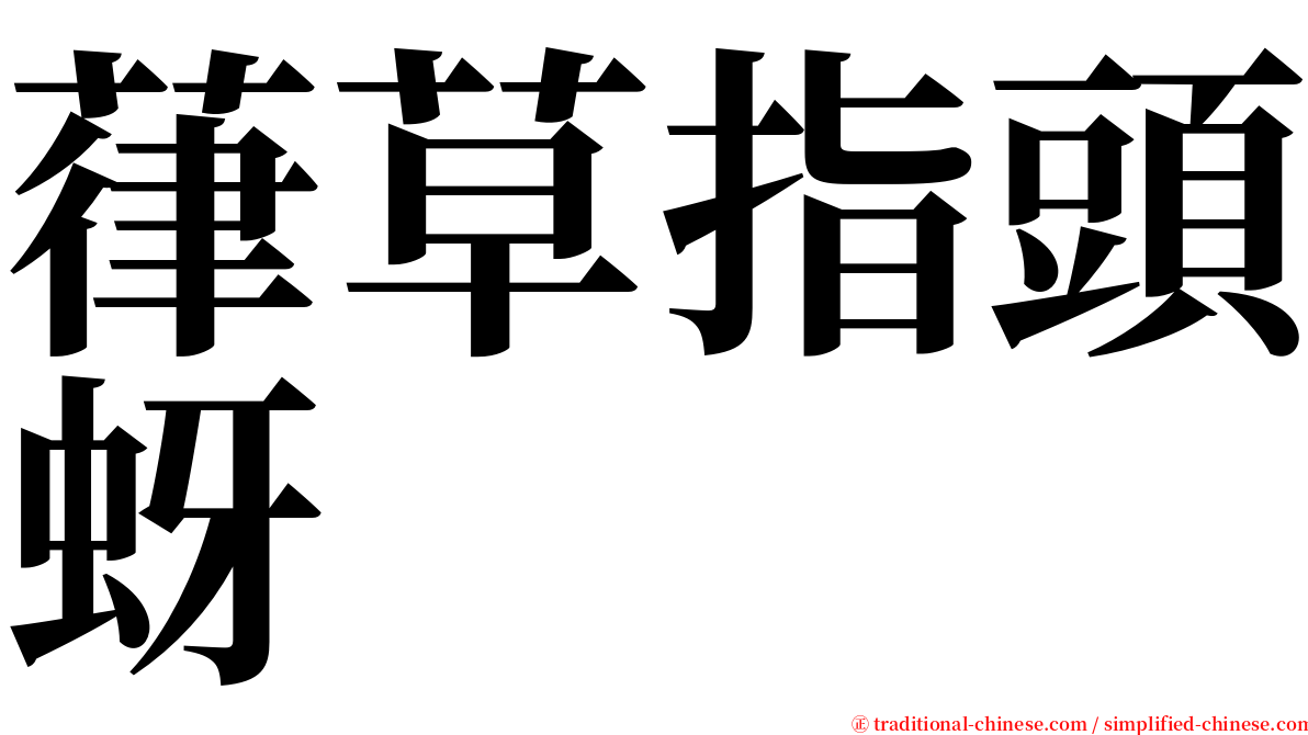 葎草指頭蚜 serif font