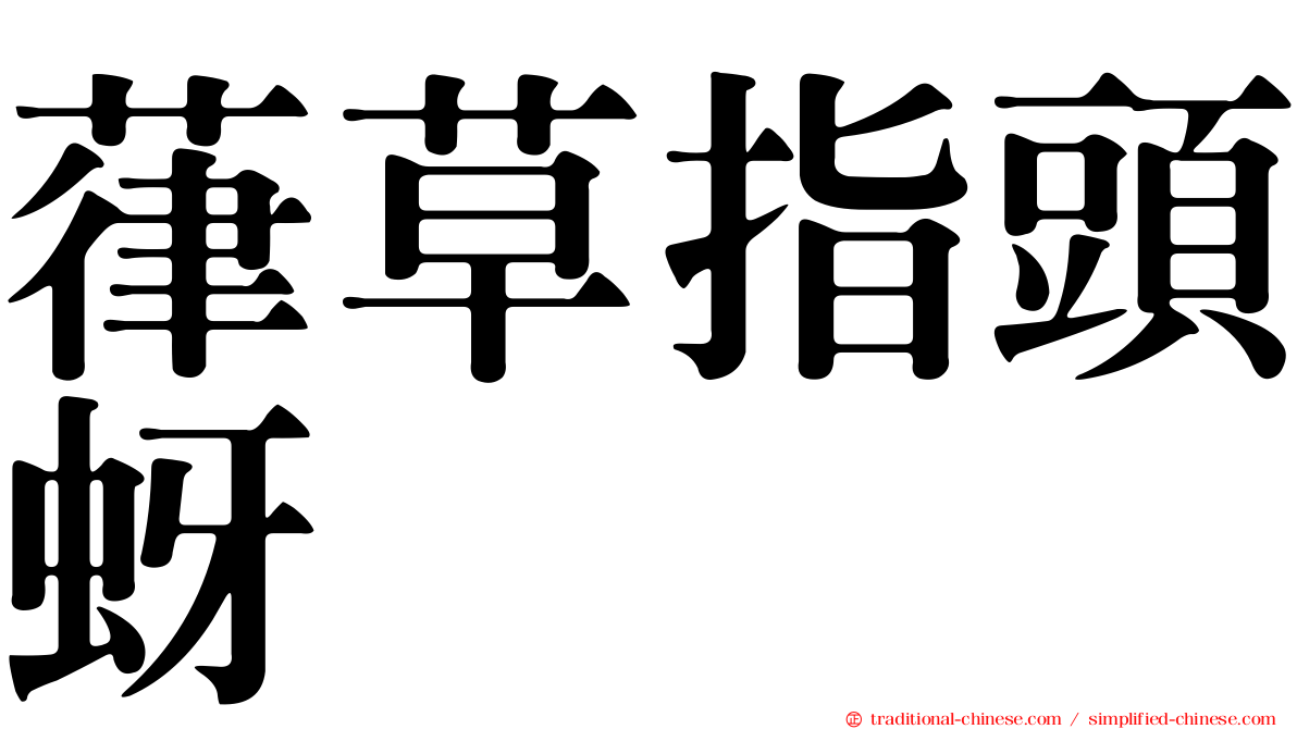 葎草指頭蚜