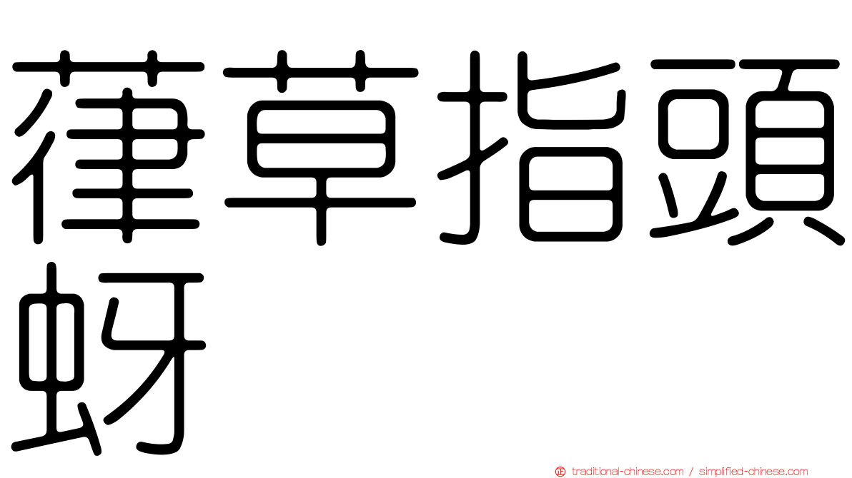 葎草指頭蚜