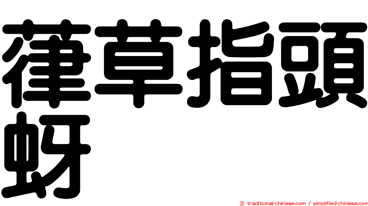 葎草指頭蚜