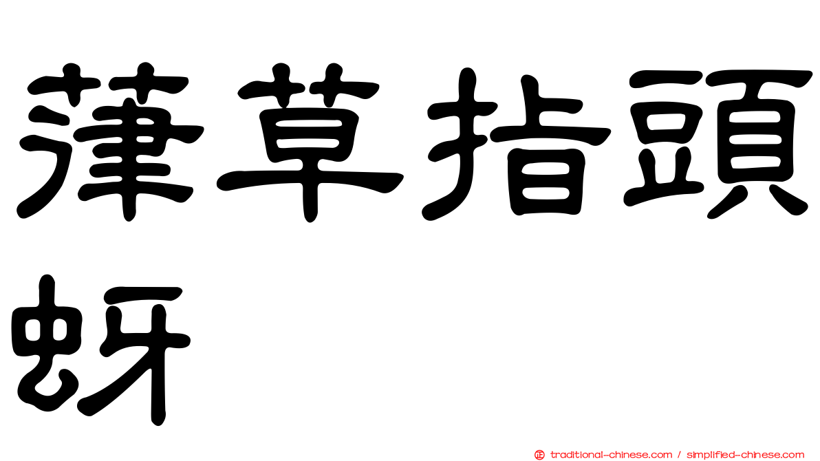 葎草指頭蚜