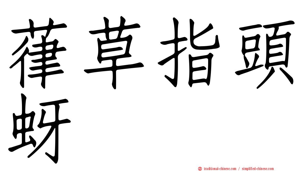 葎草指頭蚜