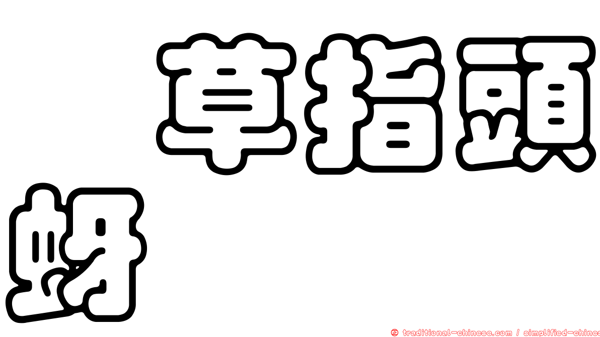 葎草指頭蚜