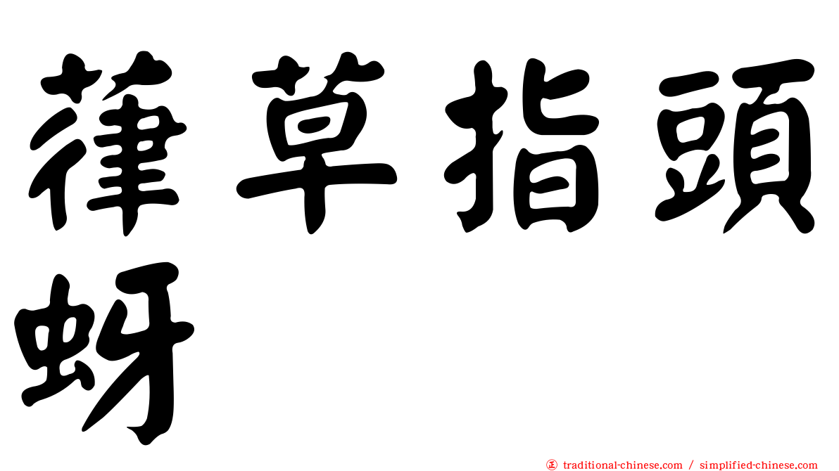 葎草指頭蚜