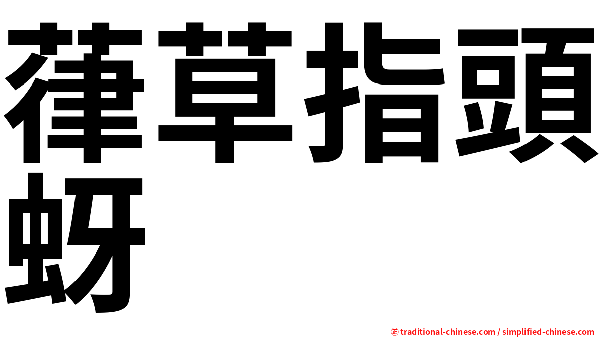 葎草指頭蚜