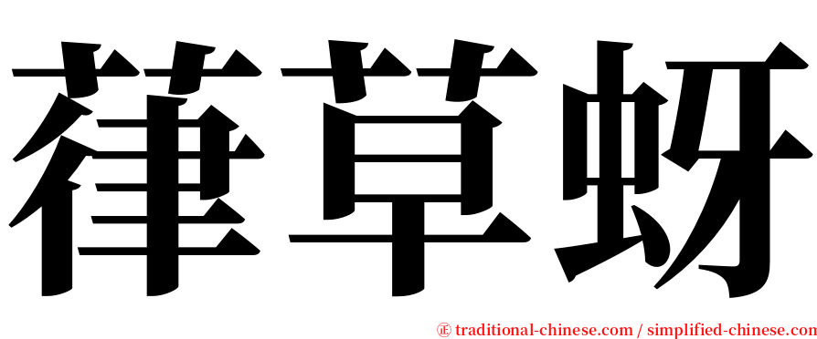 葎草蚜 serif font