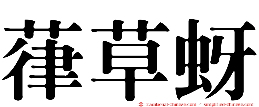 葎草蚜