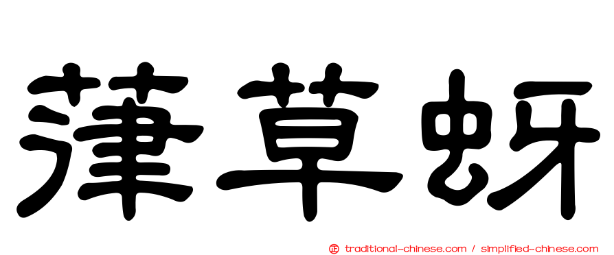 葎草蚜
