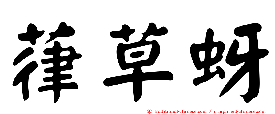 葎草蚜