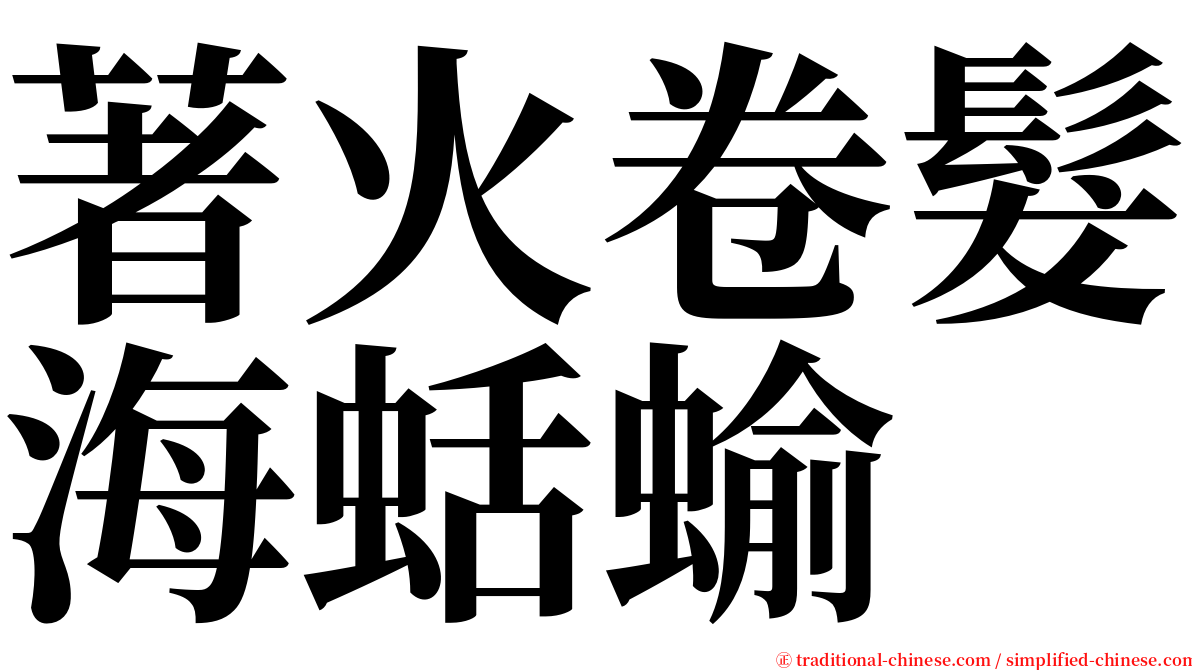 著火卷髮海蛞蝓 serif font