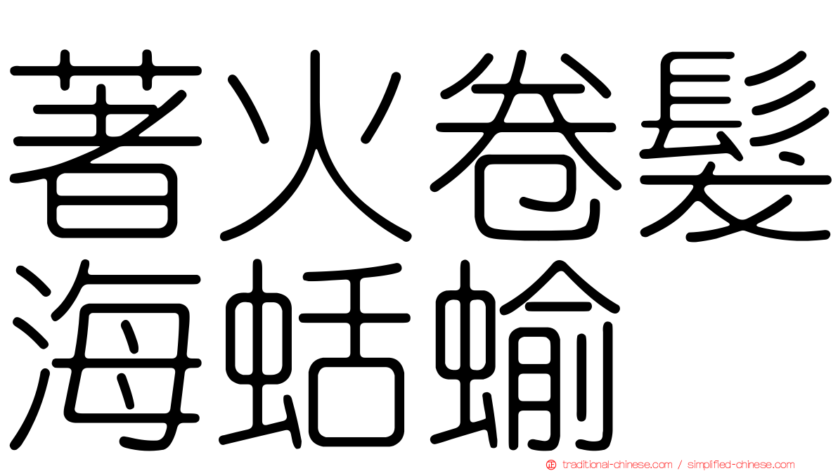 著火卷髮海蛞蝓
