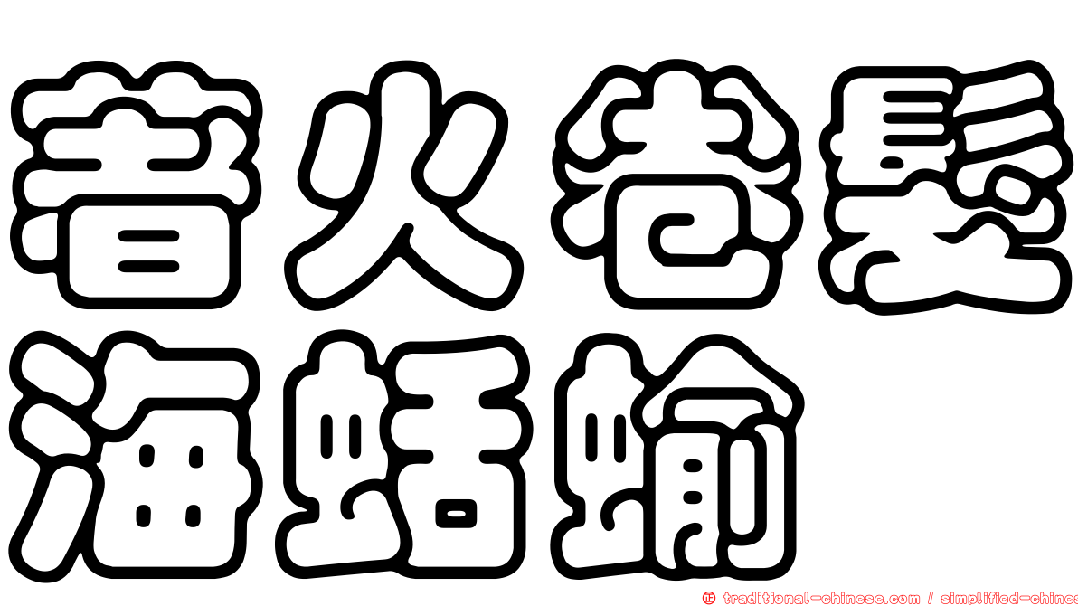 著火卷髮海蛞蝓