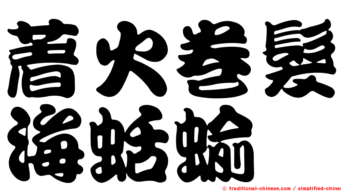 著火卷髮海蛞蝓