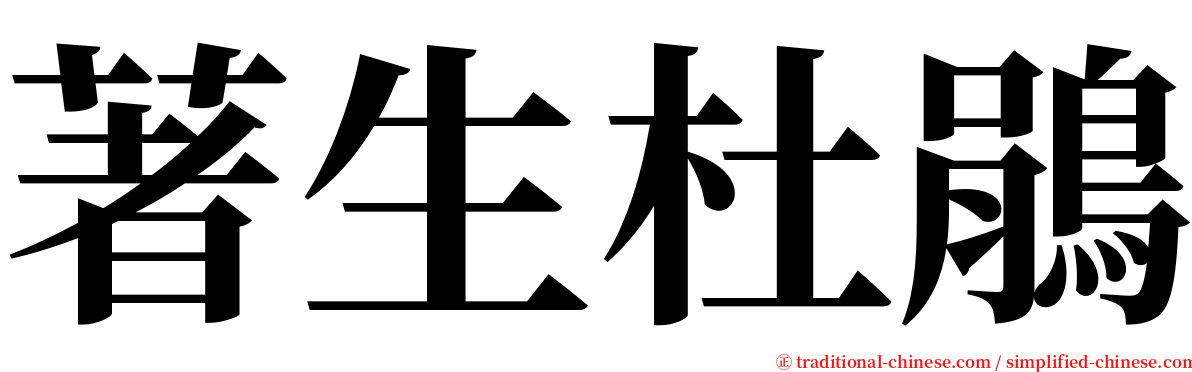 著生杜鵑 serif font