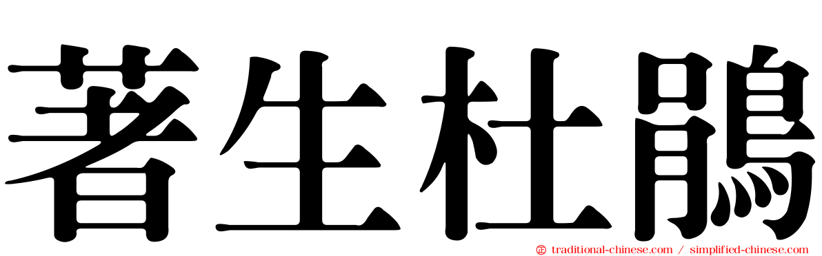著生杜鵑
