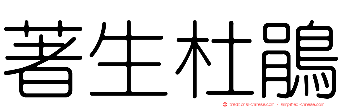 著生杜鵑