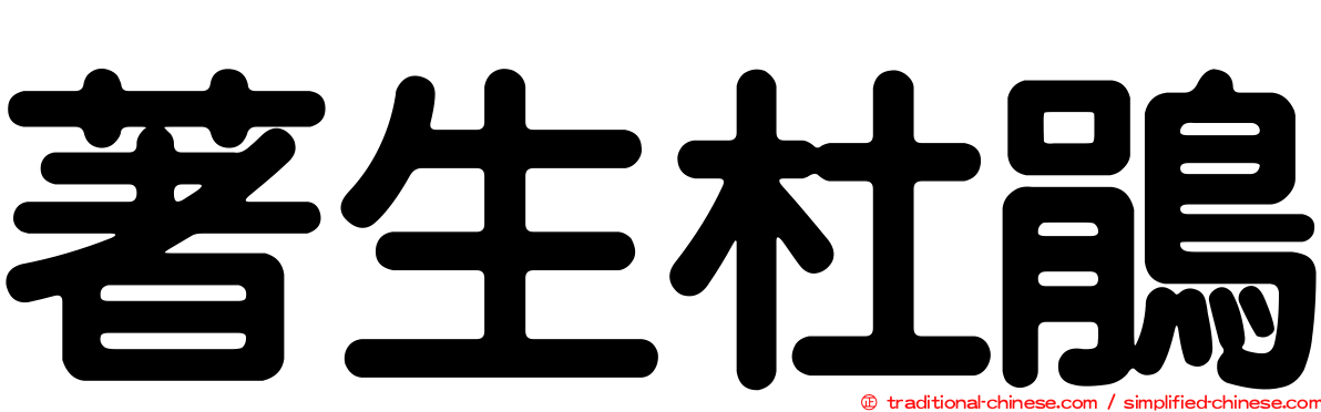 著生杜鵑