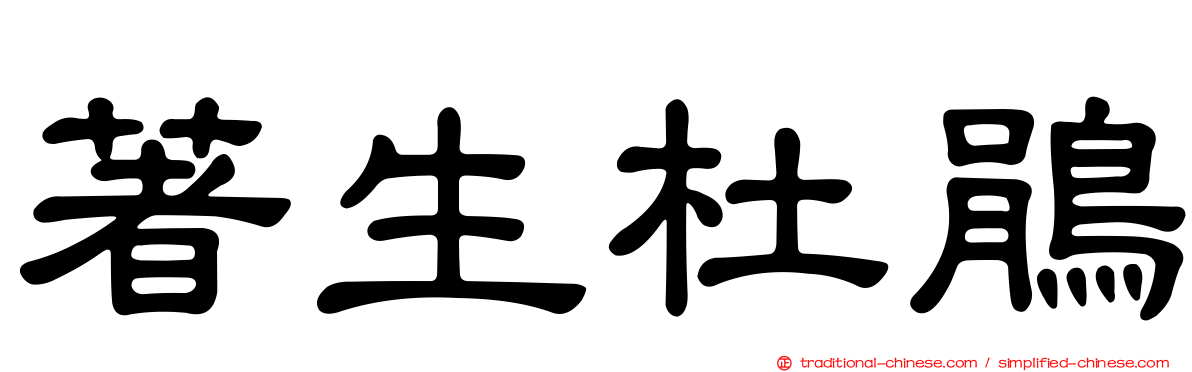著生杜鵑