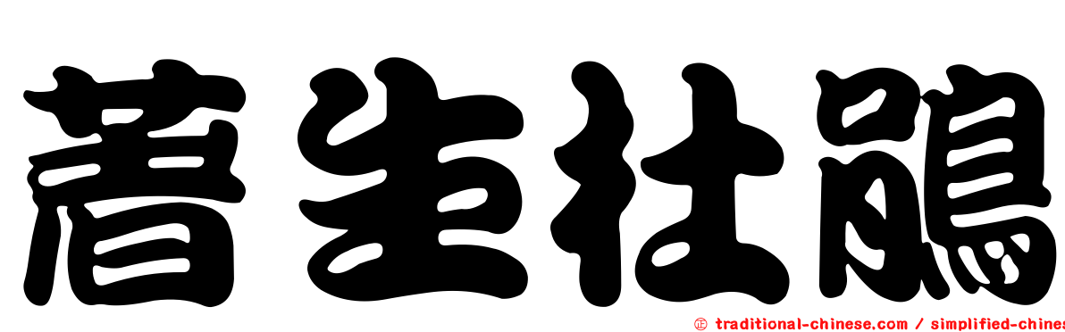 著生杜鵑