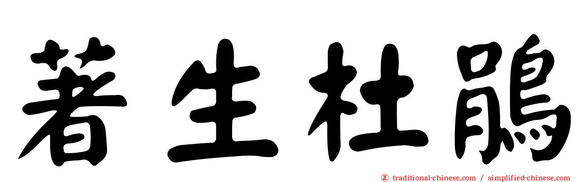 著生杜鵑