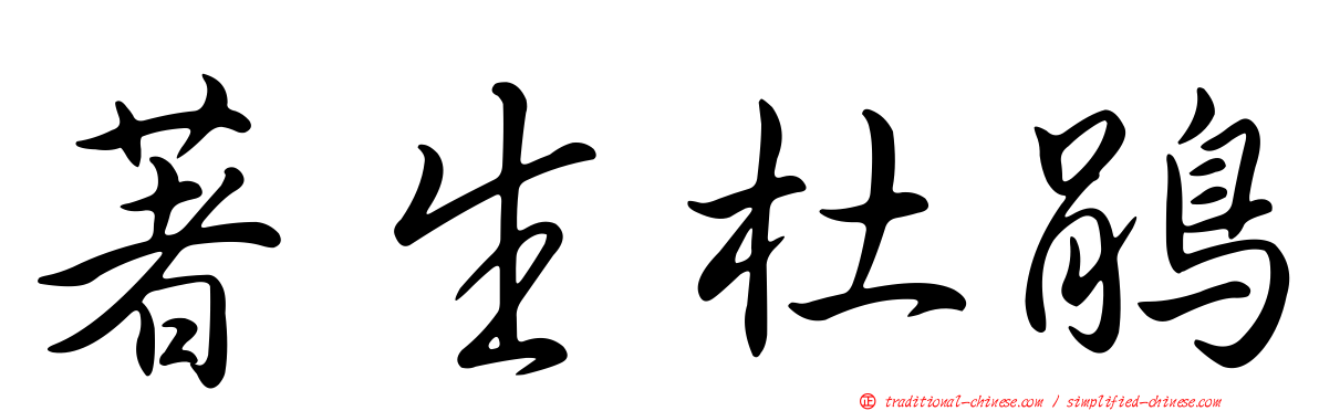 著生杜鵑