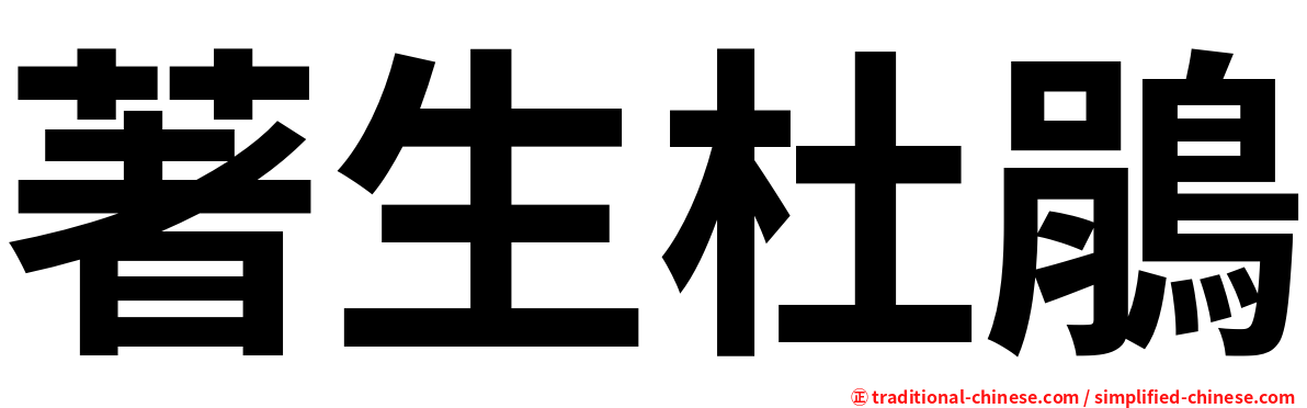 著生杜鵑