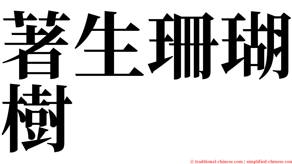 著生珊瑚樹 serif font