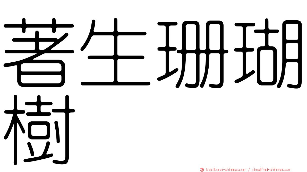 著生珊瑚樹