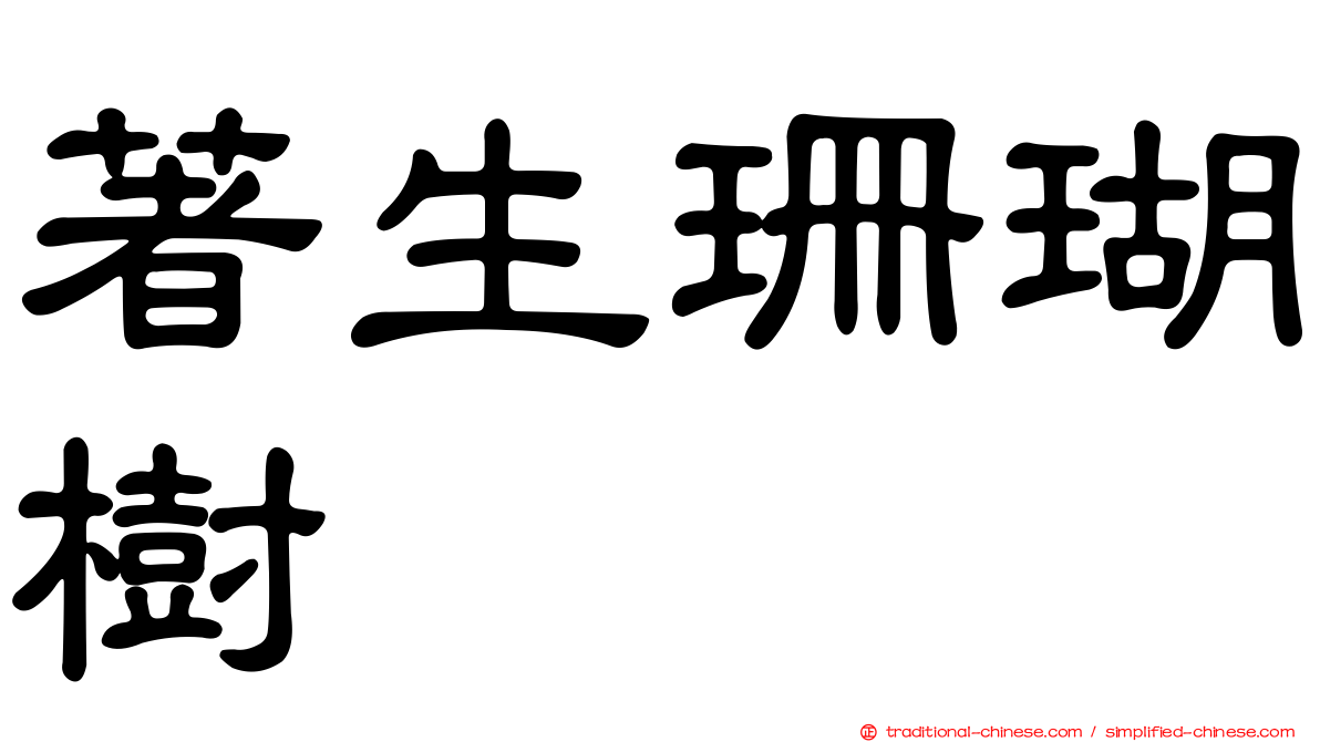 著生珊瑚樹