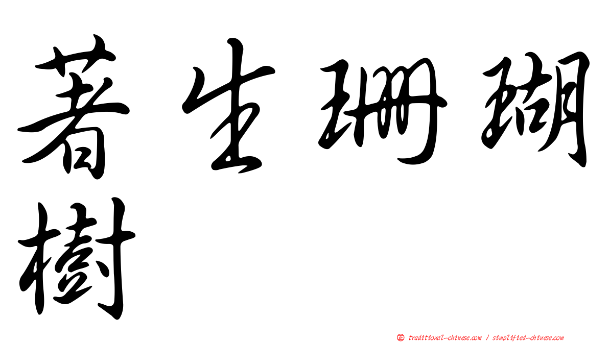 著生珊瑚樹