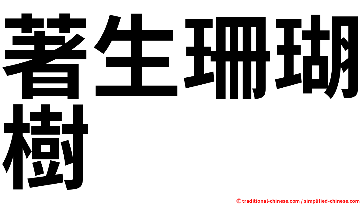 著生珊瑚樹