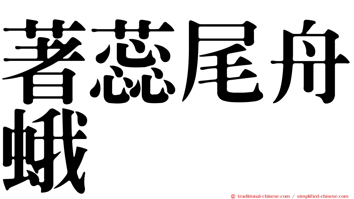 著蕊尾舟蛾